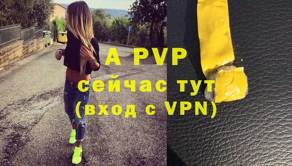 дмт Абаза