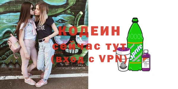 дмт Абаза