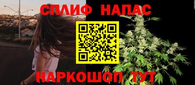 PSILOCYBIN Краснознаменск