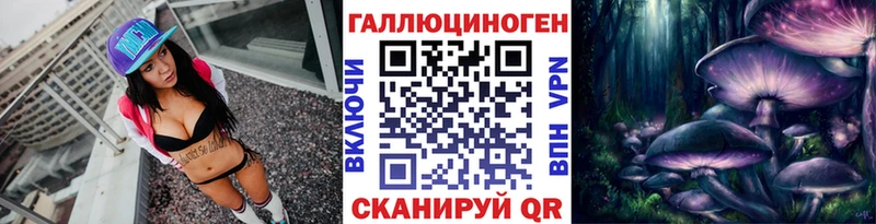 купить наркоту  Луга  Галлюциногенные грибы Psilocybe 