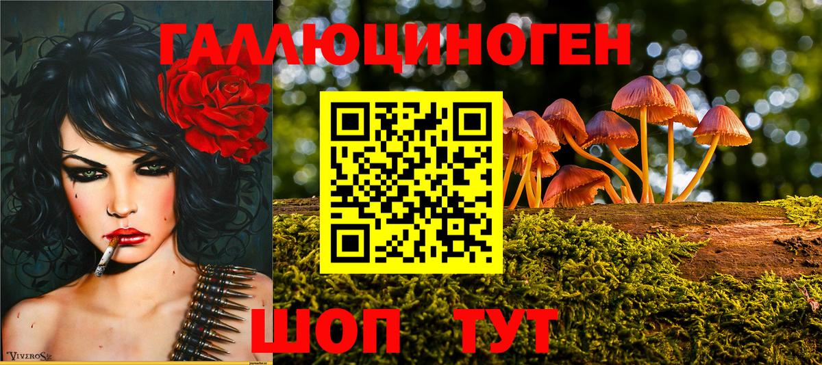 Псилоцибиновые грибы Psilocybe Луга