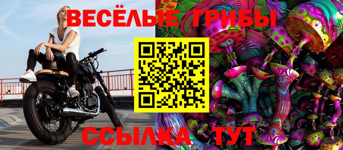 Псилоцибиновые грибы ЛСД  Вход с VPN  Галлюциногенные грибы мицелий  Луга 